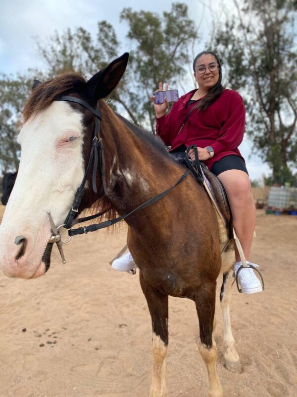 horse riding - Image 3