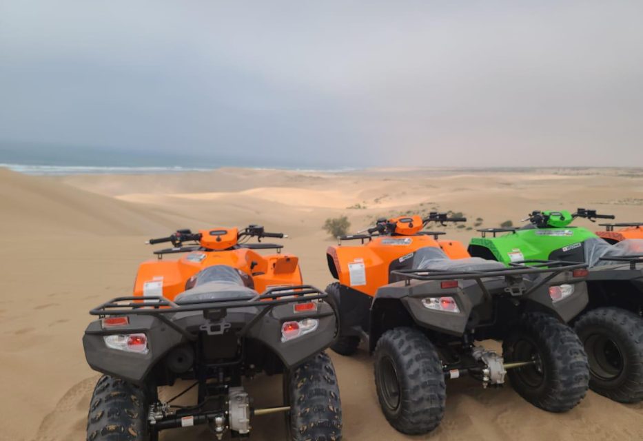 Agadir Day trips agadir camel ride Agadir Quad & ATV tours Agadir Desert safaris Agadir Thermal, Turkish, & hammam spas Agadir Airport transfers Agadir Wellness & spas Agadir Transfers Agadir Jet Skis Agadir Cruises & boat tours Agadir Family-friendly activities Agadir Entry tickets Agadir Walking tours Agadir Surfing lessons Agadir Horse riding Agadir Safaris & wildlife activities Agadir Fishing tours Agadir Shows & musicals Agadir Food & drinks Agadir Water sports Agadir Hiking Agadir Crocoparc Agadir Cable Car Agadir Medina Agadir Dolphin World Agadir Al-Massira International Airport Souk El Had, Agadir Agadir Oufella Agadir Beach Marina Agadir Danialand Kasbah of Agadir Mohamed V Mosque, Agadir Museum of Amazigh Culture, Agadir Jardin d'Olhao Agadir Berber Night Banana beach Agadir Marrakech Tours Agadir Day trips Agadir Quad & ATV tours Agadir Desert safaris Agadir Thermal, Turkish, & hammam spas Agadir Airport transfers Agadir Wellness & spas Agadir Transfers Agadir Jet Skis Agadir Cruises & boat tours Agadir Family-friendly activities Agadir Entry tickets Agadir Walking tours Agadir Surfing lessons Agadir Horse riding Agadir Safaris & wildlife activities Agadir Fishing tours Agadir Shows & musicals Agadir Food & drinks Agadir Water sports Agadir Hiking